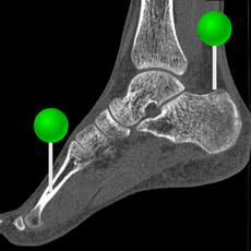 e-Anatomy, the Anatomy of Imaging