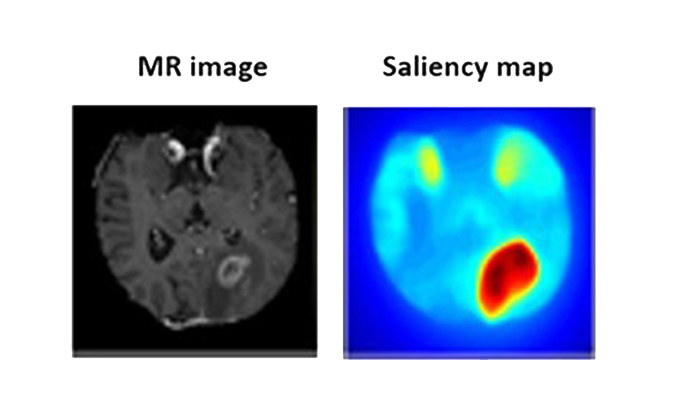 Medical image annotations for deep learning