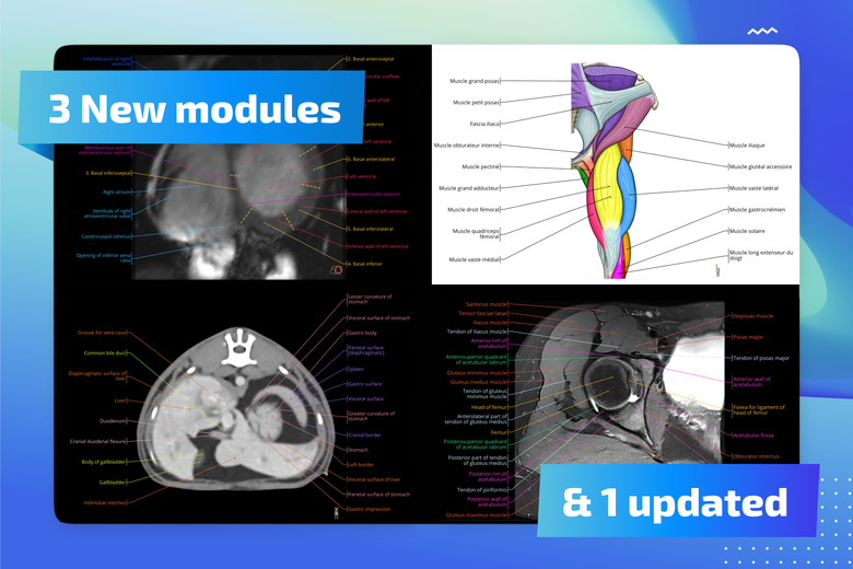 Addition of 3 new anatomy modules