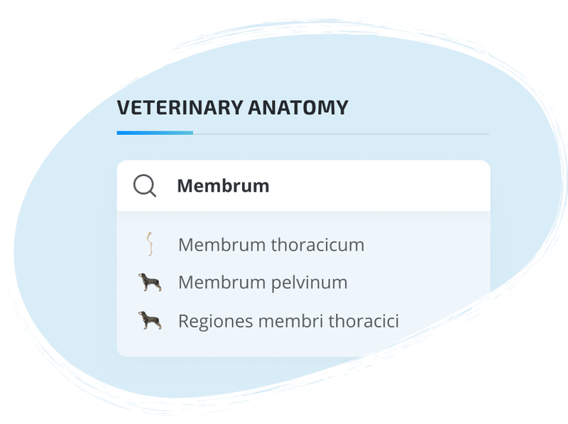 Veterinary Structure Anatomical structures - vet-Anatomy