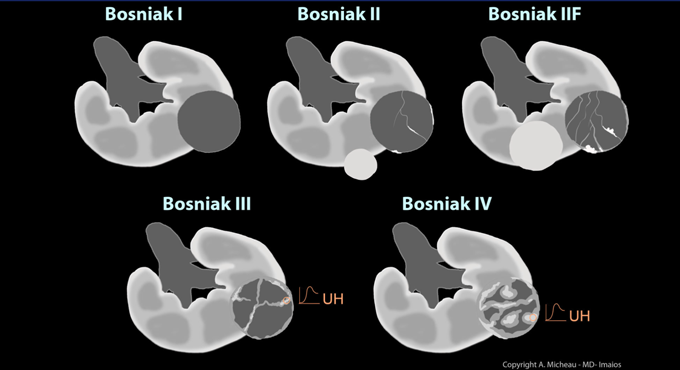 A glossary of commonly used classifications in medical imaging