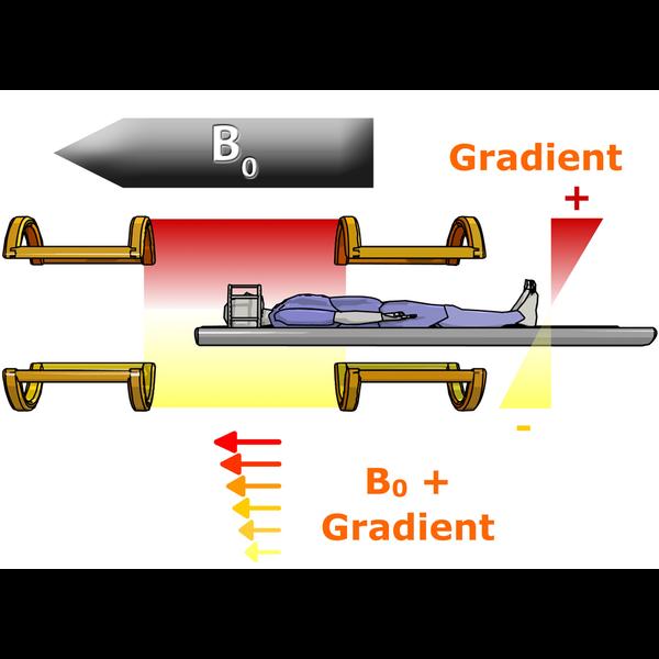 Gradient In Mri MRI instrumentation and safety: magnetic field gradients | e-MRI