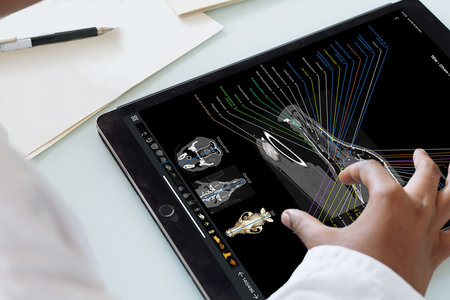 vet-Anatomy tutorial to study veterinary anatomy