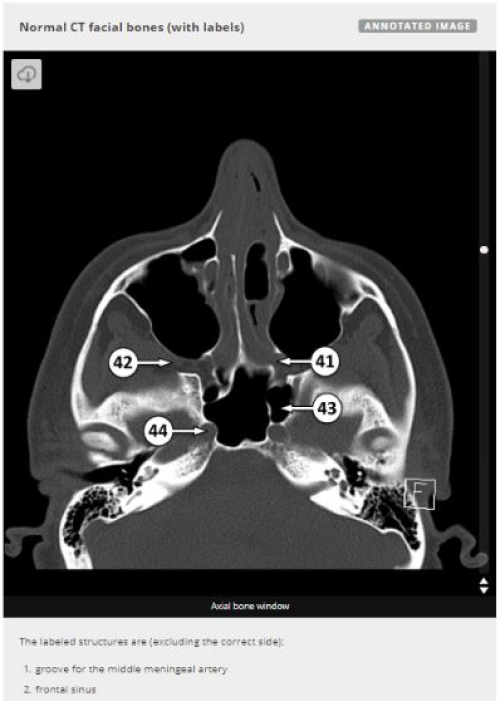 Best Online Resources to Improve Anatomy Knowledge Biology Diagrams