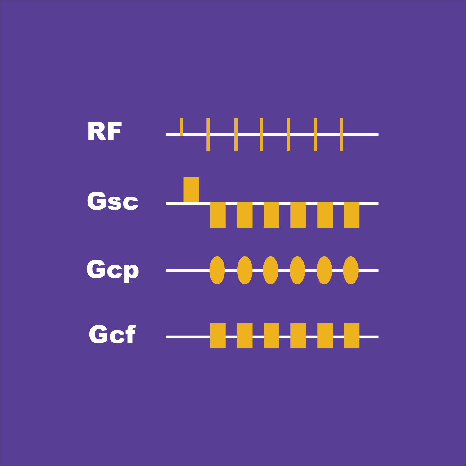 MRI Sequences: Steady state gradient echo | e-MRI