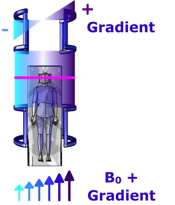 Spatial encoding in MRI: magnetic field gradients | e-MRI