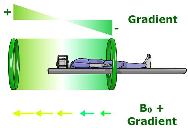 Spatial encoding in MRI: magnetic field gradients | e-MRI